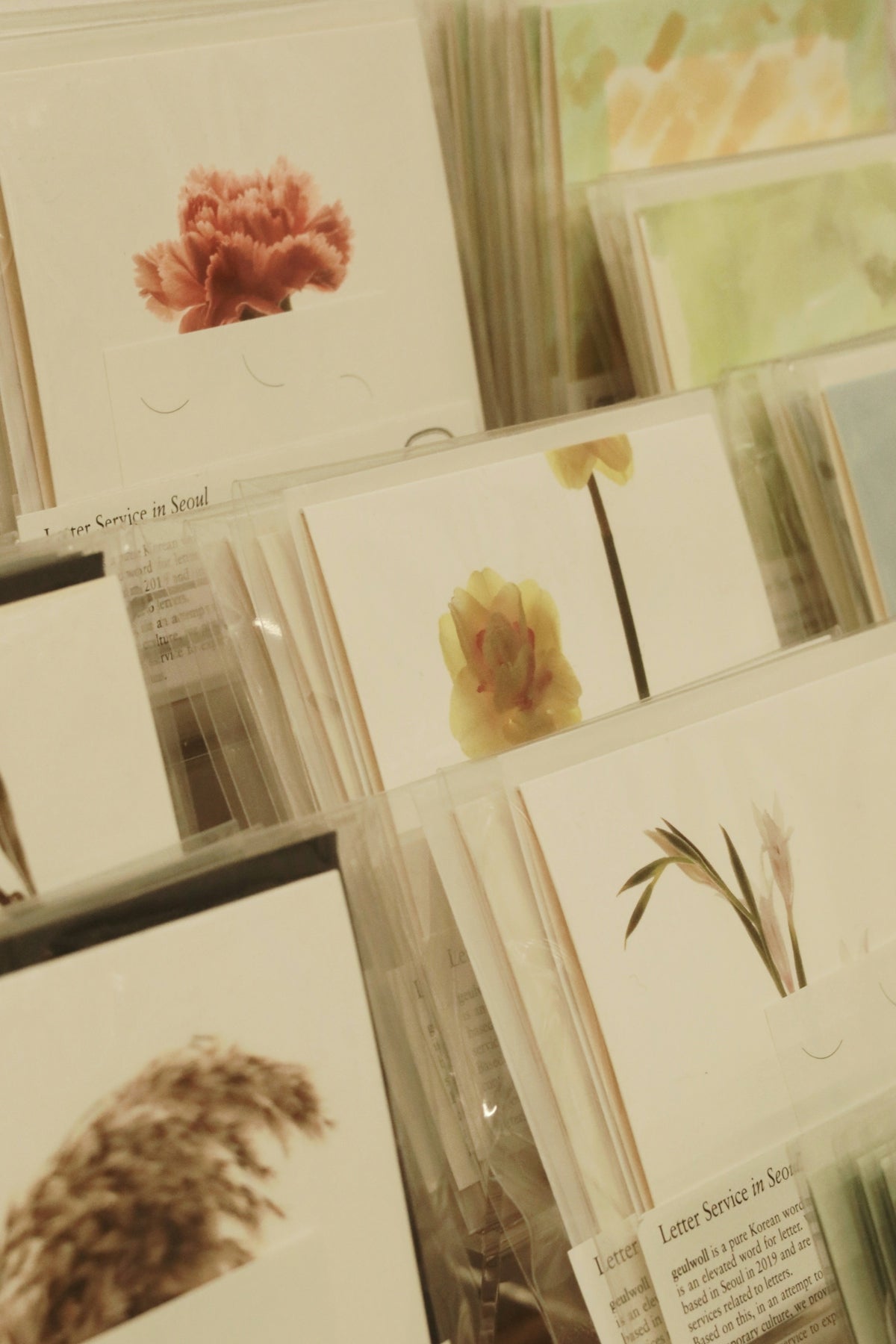 Various greeting cards with floral and botanical designs